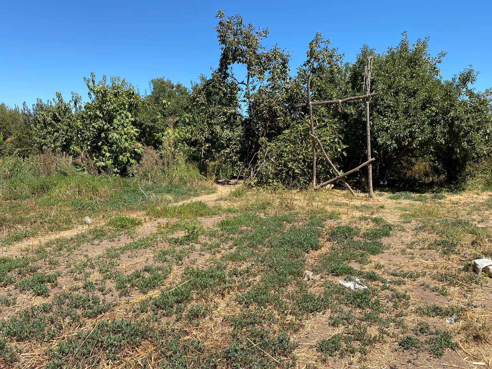 Vista parcial terreno